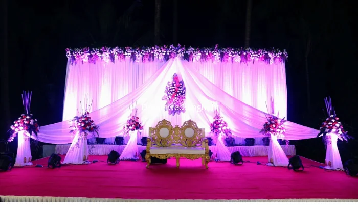 Maa Tarini Dj Lights Decoration